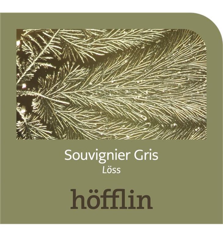 Souvignier Gris - Weingut Höfflin - matthias-und-julius-hofflin 