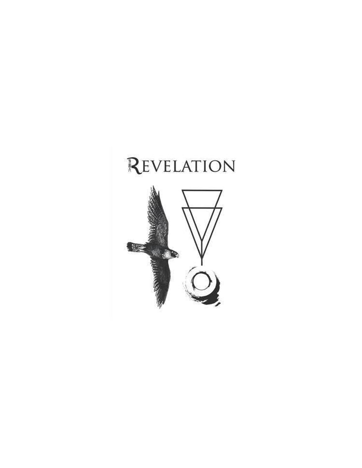 Sparkling Chardonnay - Revelation - francois-ribaud 