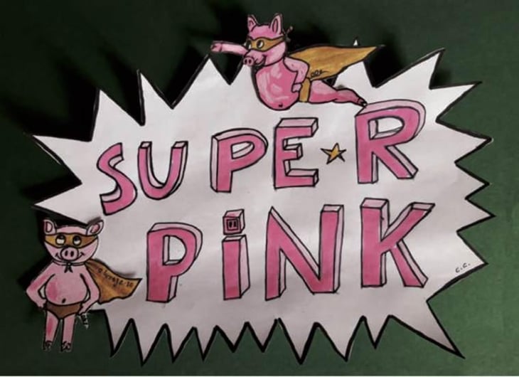 Super Pink - Domaine de Chassorney - frederic-cossard 