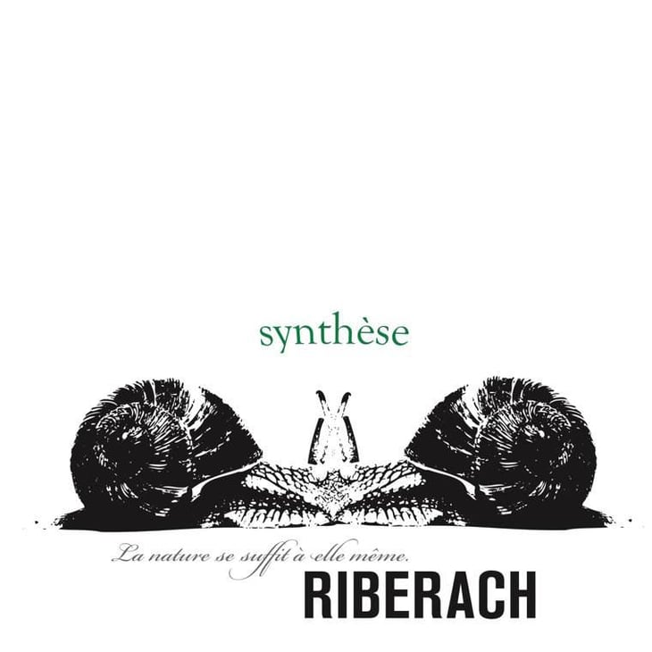 Synthèse Blanc - Domaine Riberach - guilhem-soulignac-j-m-mailloles-patrick-rodrigues-luc-richard 