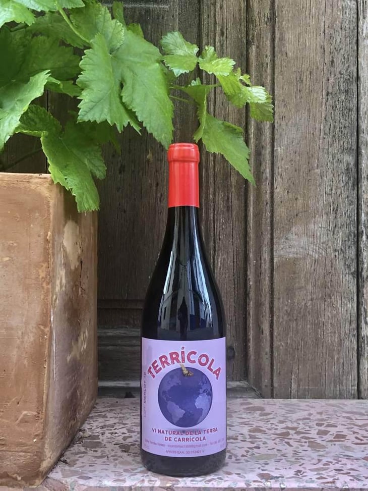 Terricola Negre - Celler Tomàs Torres - vicent-tomas-soler -2018