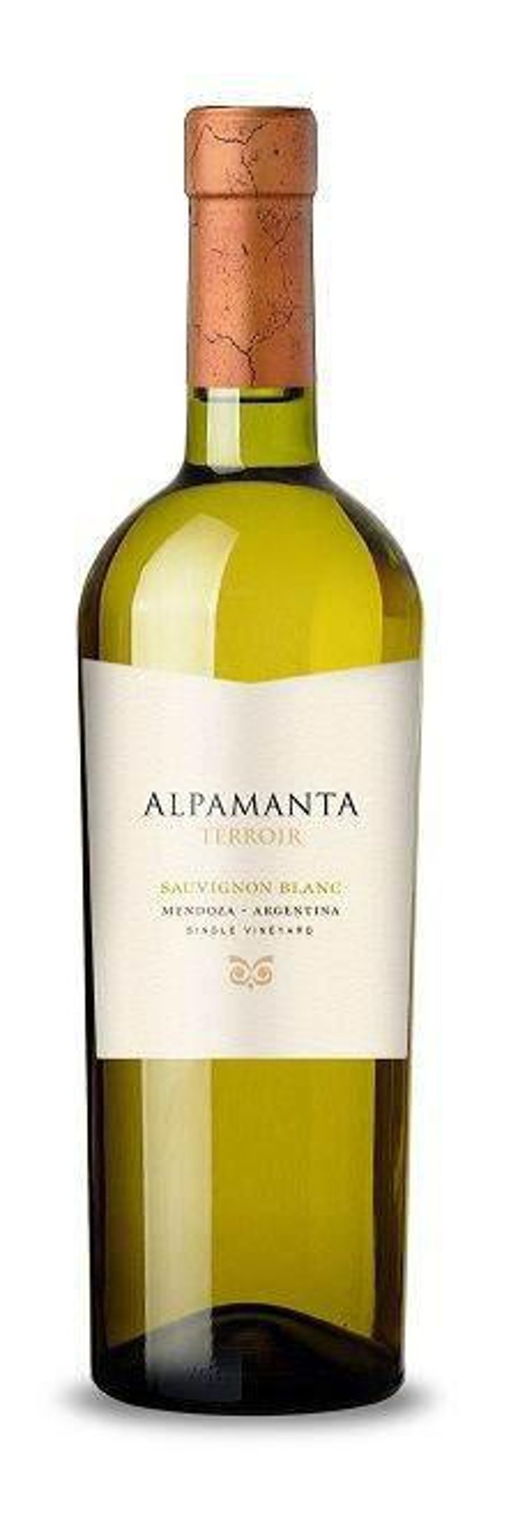 Terroir Sauvignon Blanc - Alpamanta - andrej-razumovsky 