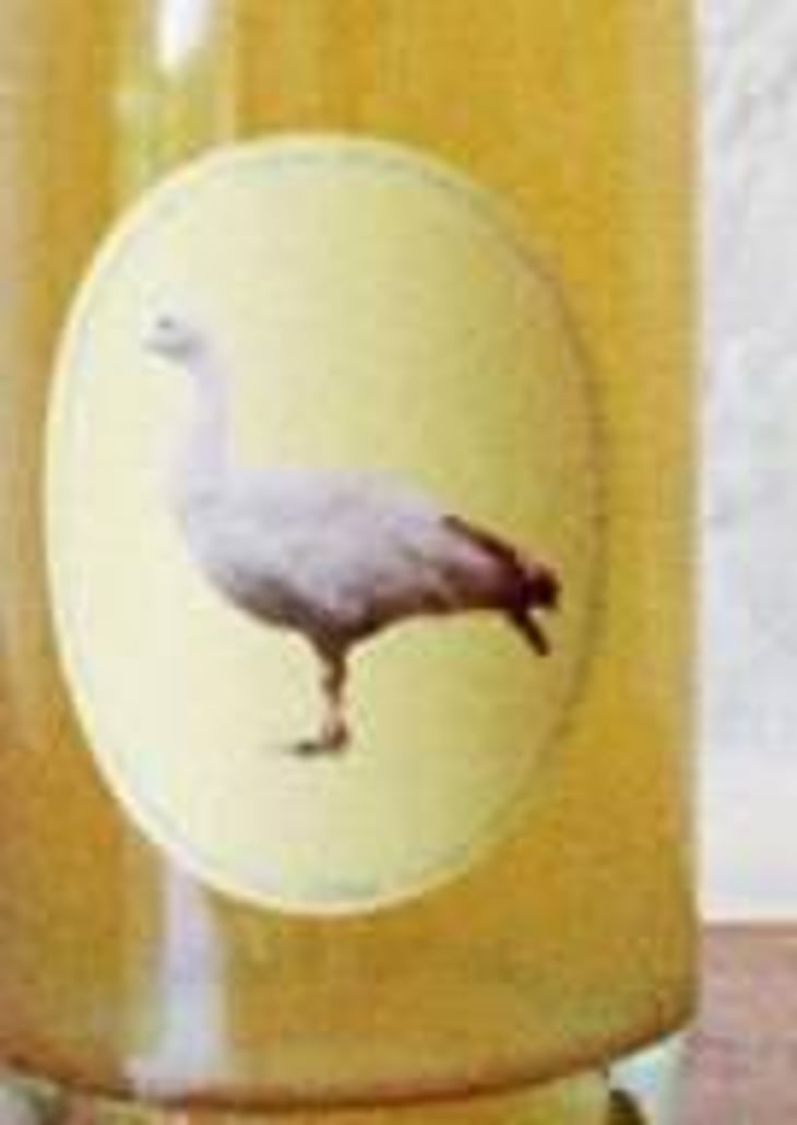 Tidy Town Goose Juice Sauvignon Blanc - Little Brunswick Wine Company - alex-croker-robert-lundburg 