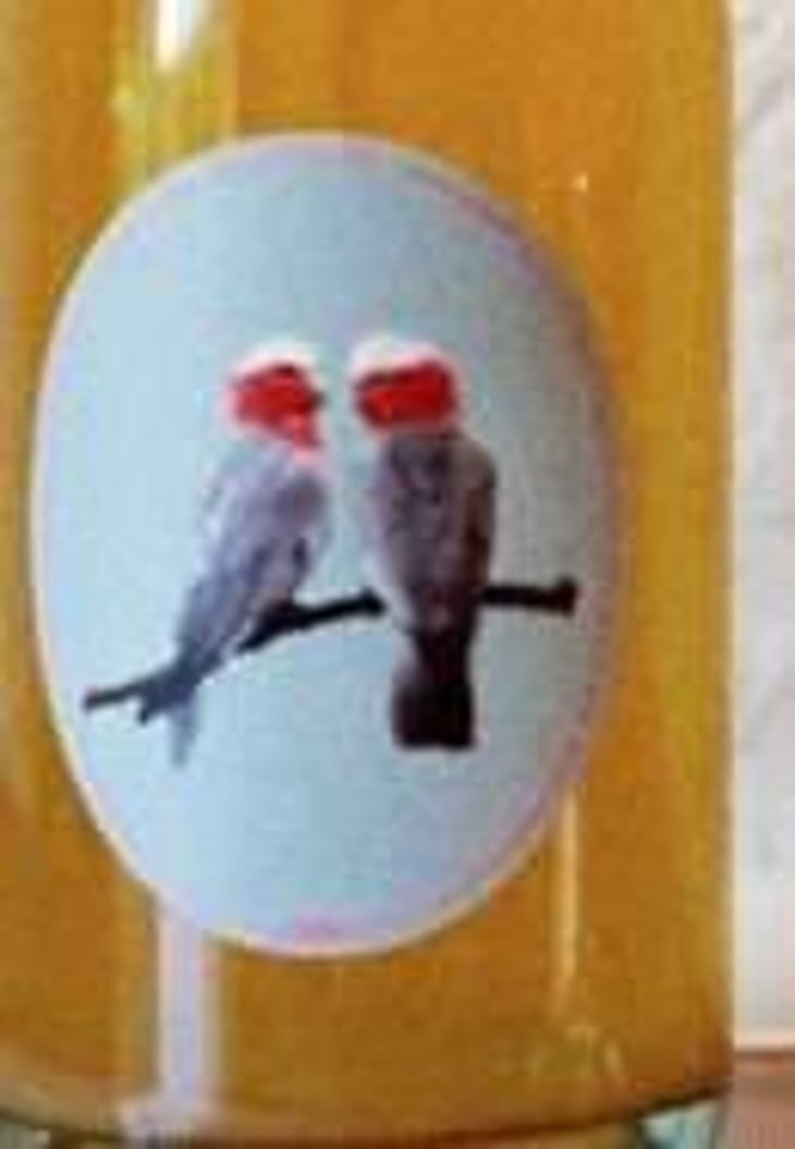 Tidy Town Moscato Giallo Orange - Little Brunswick Wine Company - alex-croker-robert-lundburg 