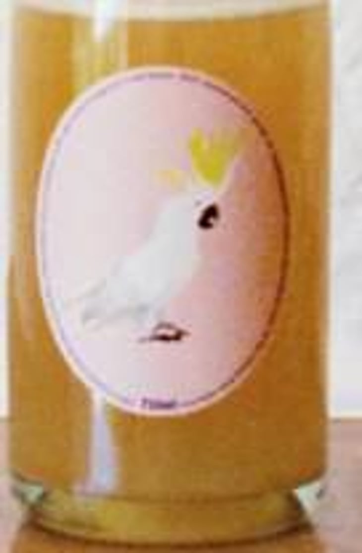 Tidy Town Moscato Giallo Pet Nat - Little Brunswick Wine Company - alex-croker-robert-lundburg 