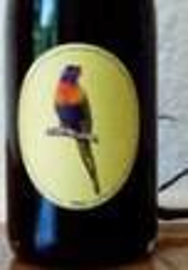 Tidy Town Pet Nat Shiraz - Little Brunswick Wine Company - alex-croker-robert-lundburg 