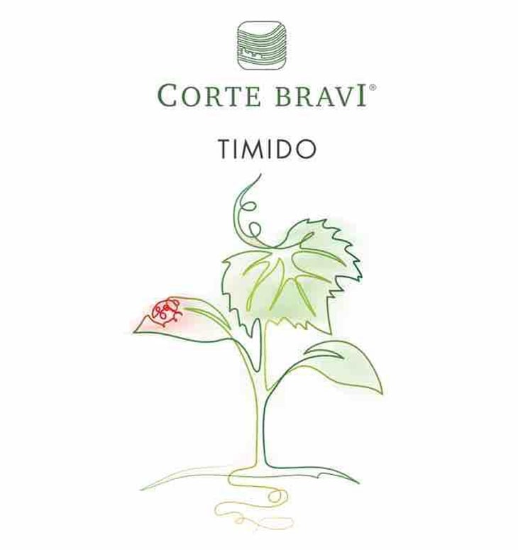 Timido - Corte Bravi - andrea-ivano-brunelli 