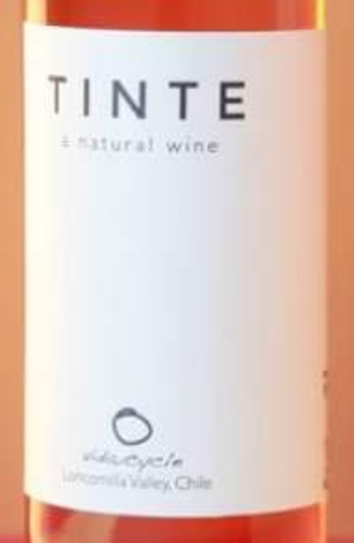 Tinte - Vidacycle - tom-christiane-abby-joy-rose 