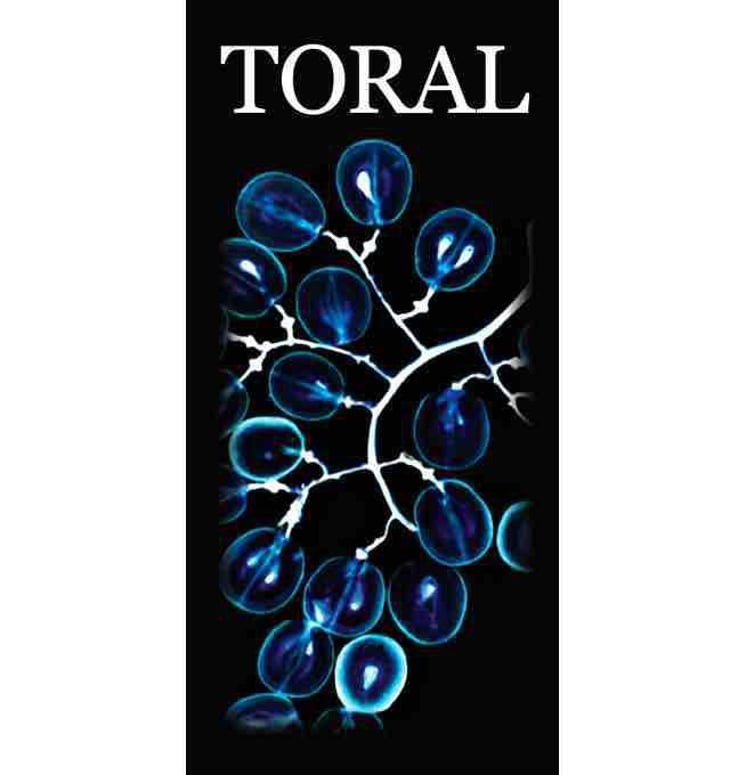 Toral - Bodega Toral - pablo-toral-gomez 