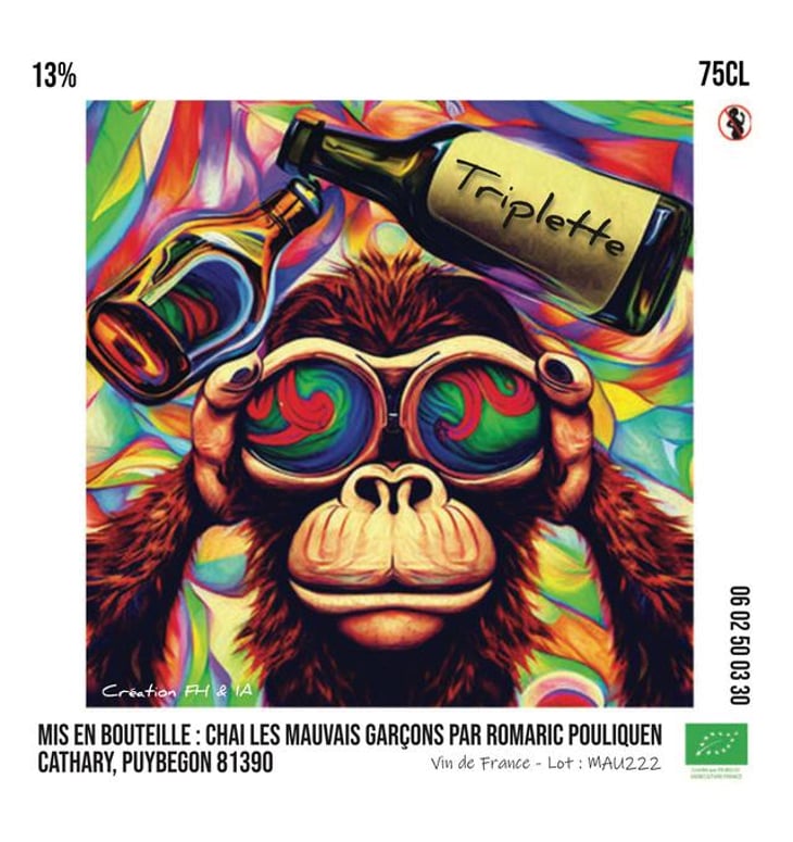 Triplette Blanc - Chai les Mauvais Garçons - florian-houard-et-romaric-pouliquen 