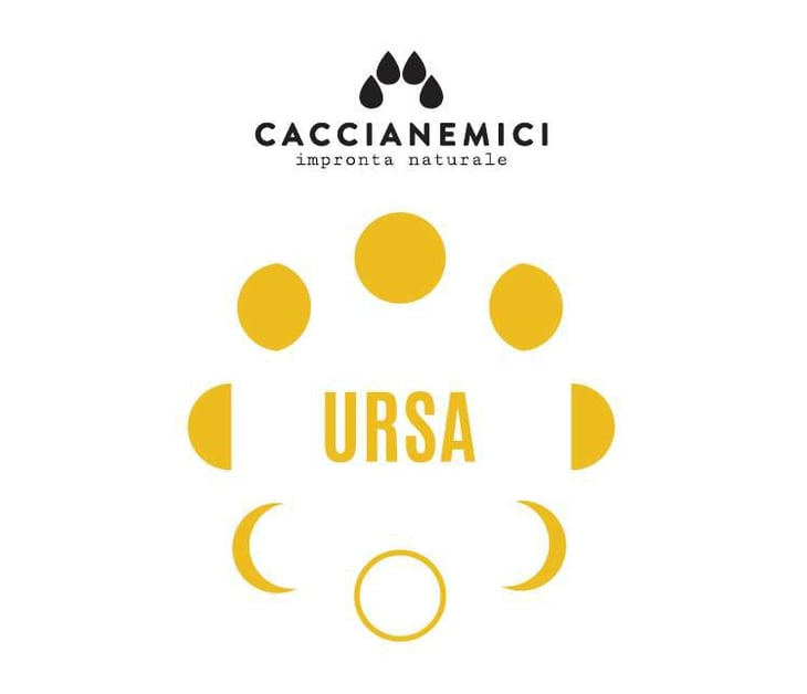 Ursa