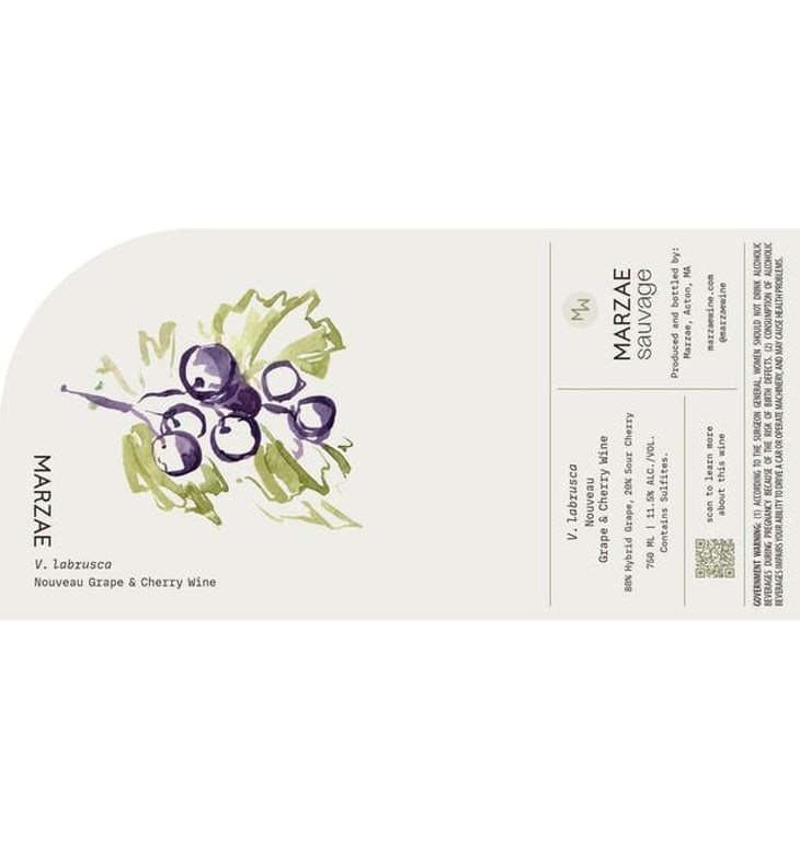 V. labrusca - Marzae Wine - eliot-martin 