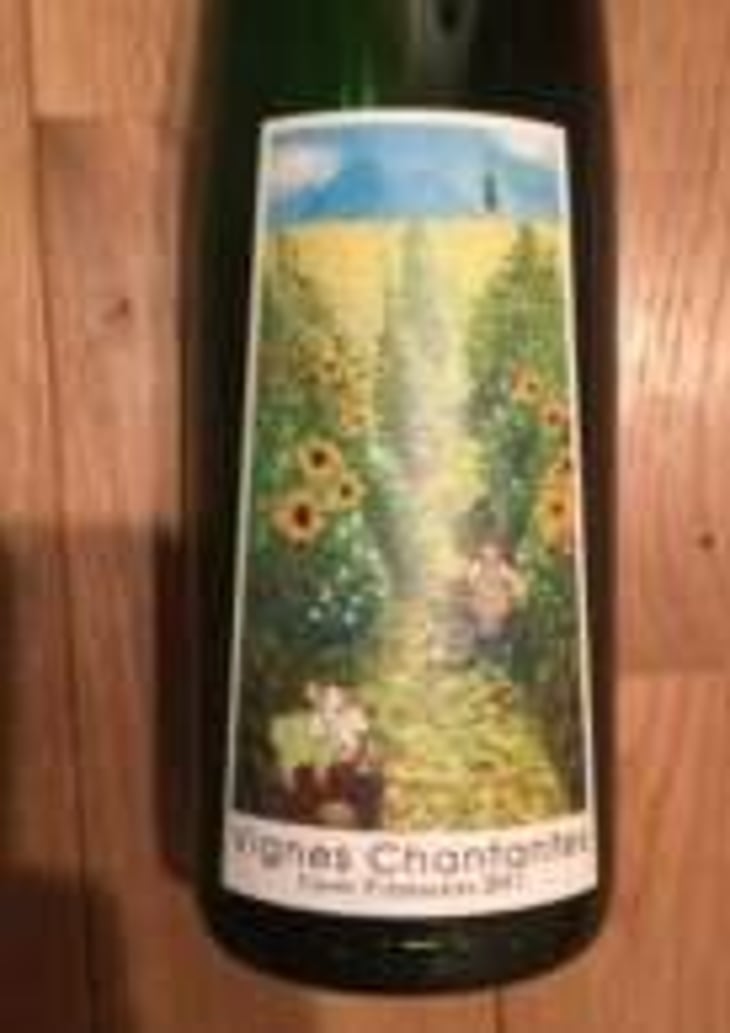 Vignes Chantantes - "Cuvée Printanière" - Miyamoto Vineyard - ryohei-miyamoto 
