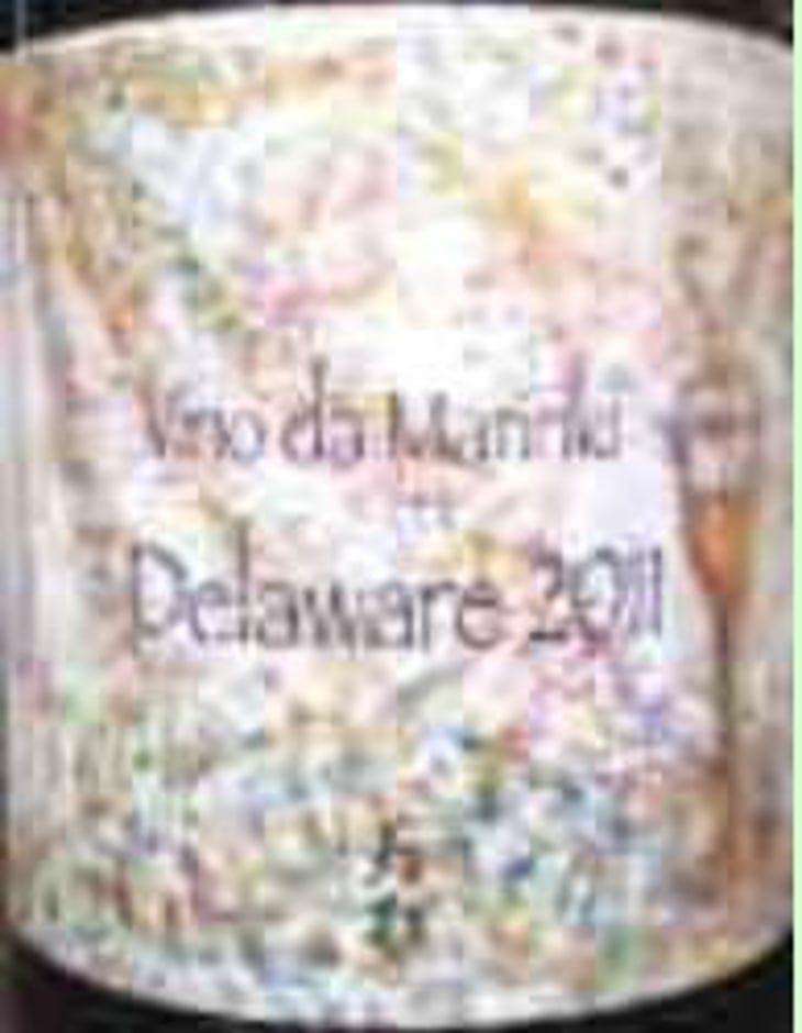 Vino da Manriki Delaware - Caney Wine - ichiro-yuko-kanai 