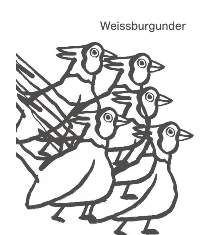 Weissburgunder - Dr Valentina Dietrich - valentina-dietrich 