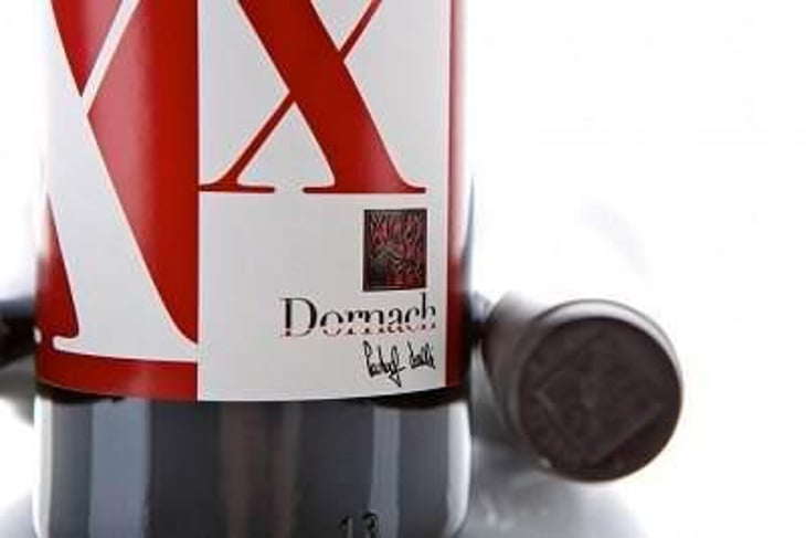 Xx - Ansitz Dornach - patrick-karoline-uccelli 