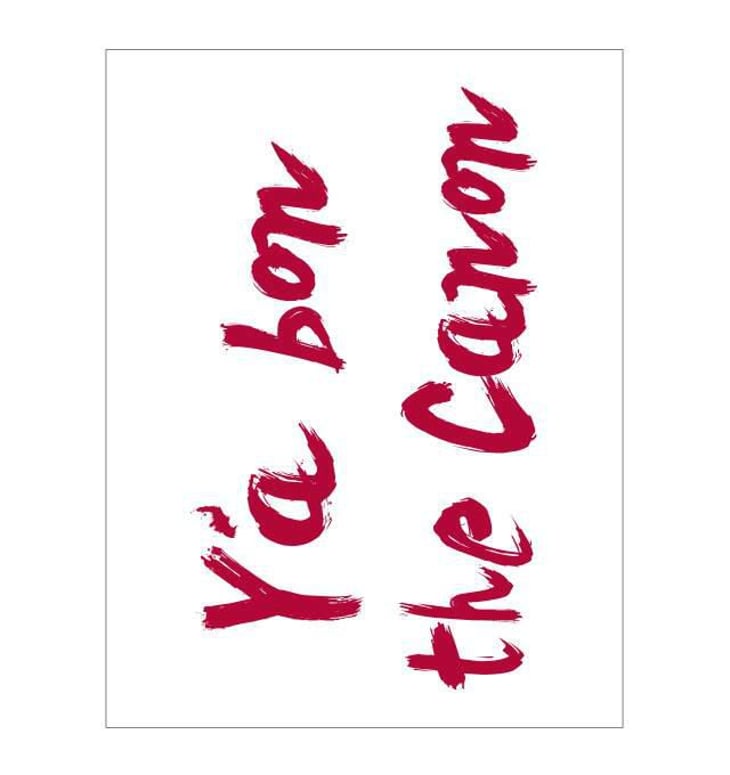 Y'a Bon The Canon (white label) - Domaine Ganevat - anne-jean-francois-ganevat 