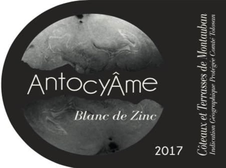 Blanc de Zinc - AntocyÂme - muriel-zoldan 