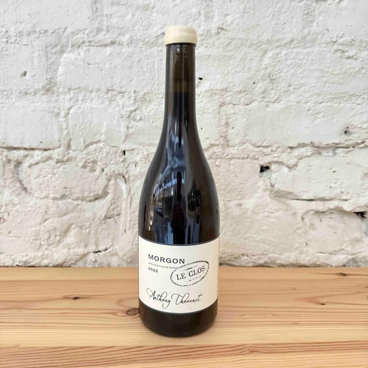 Morgon - Anthony Thevenet - anthony-thevenet -2022