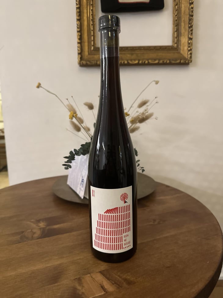 Rien Ne Bouge - Vignoble du Rêveur - mathieu-deiss-emmanuelle-milan -2023