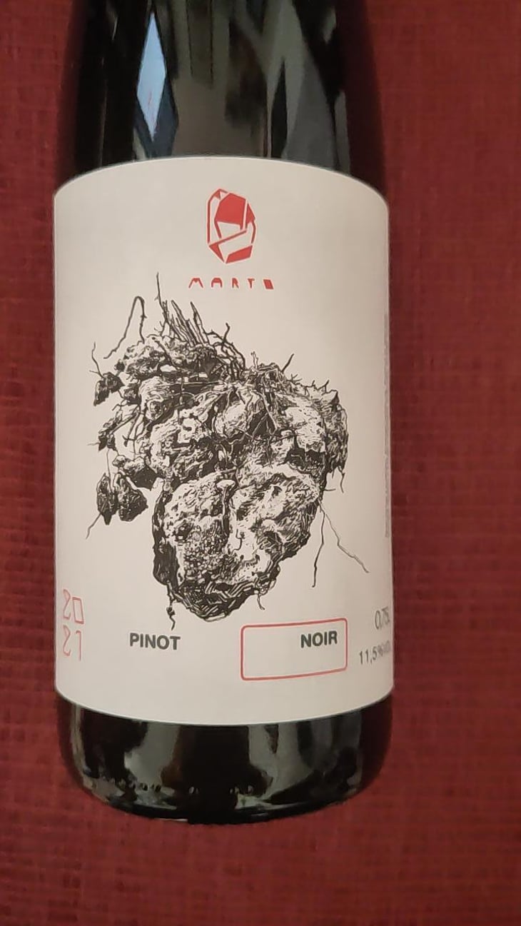 Pinot Noir - Marto Wines - Weingut Wörner - martin-worner -2021