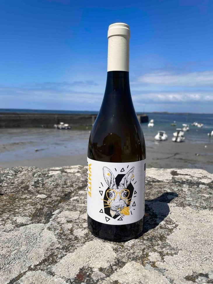 Rabbit - Domaine Des Marnes Blanches - pauline-geraud-fromont -2022