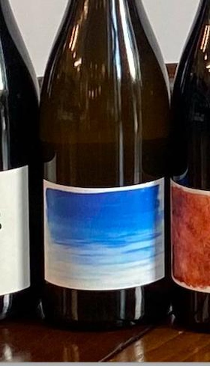 Eté - Domaine Passe Pont - david-landron -2022