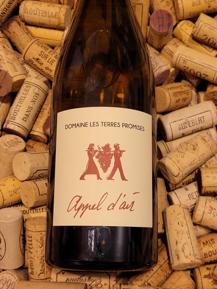 Appel d'air - Les Terres Promises - jean-christophe-comor 