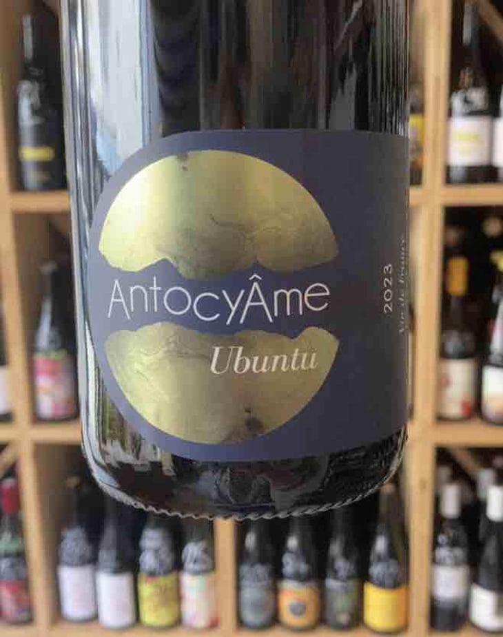 Ubuntu - AntocyÂme - muriel-zoldan -2023