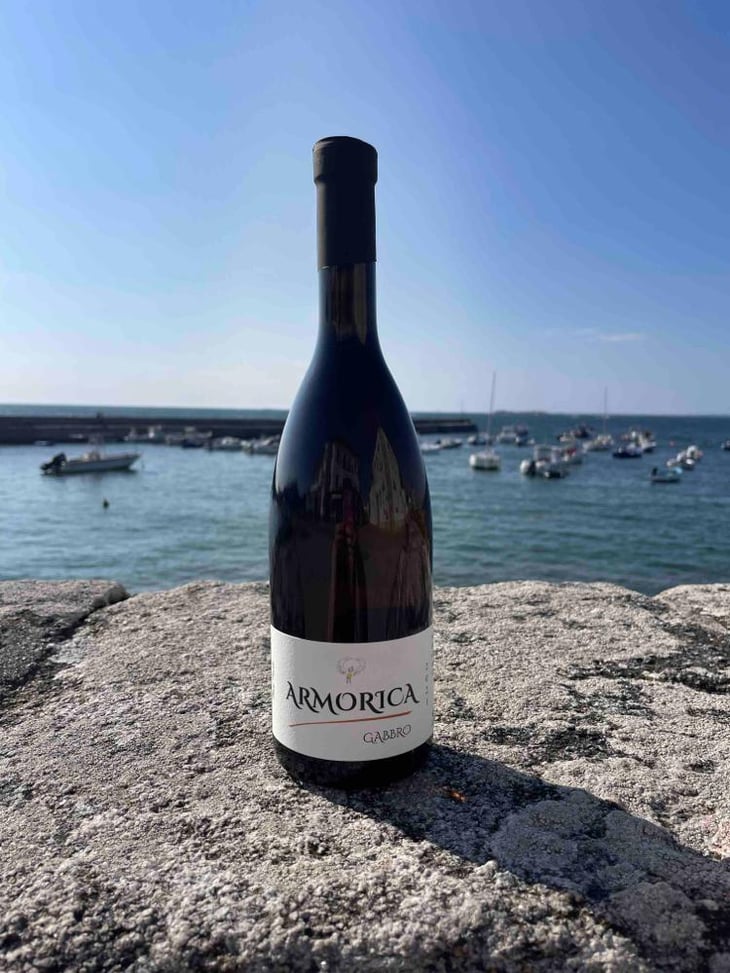 Armorica Gabbro - La Sénéchalière - marc-pesnot -2021