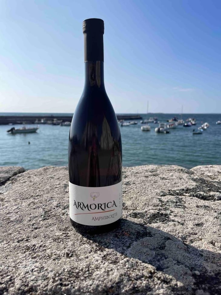 Armorica Amphibolite - La Sénéchalière - marc-pesnot -2021