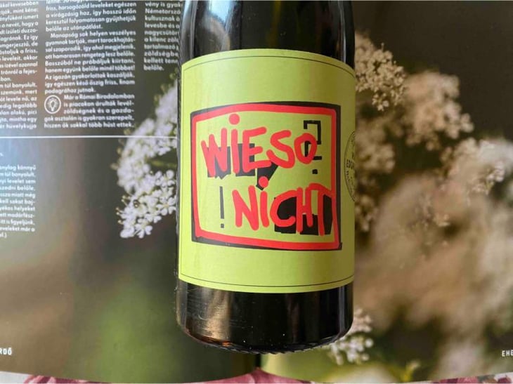 Wieso Nicht - Weingut Edgar Brutler - johann-katharina-edgar-brutler-philipp-heinzl -2022