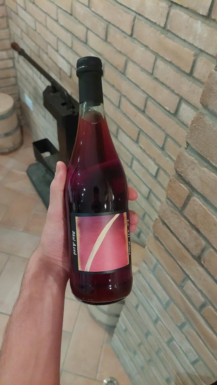 Saul Acsé - Azienda Agricola María Bortolotti - flavio-cantelli-maria-bortolotti -2021