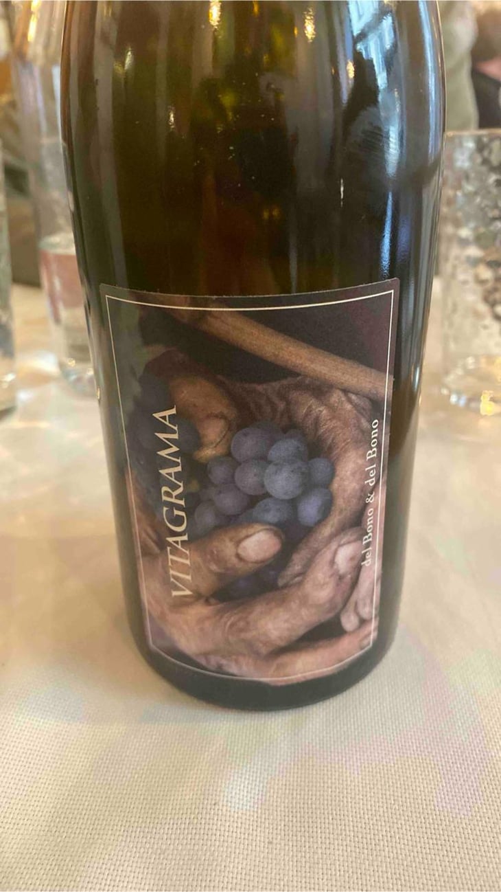 Vitagrama - Casa caterina - aurelio-emilio-del-bono -2009