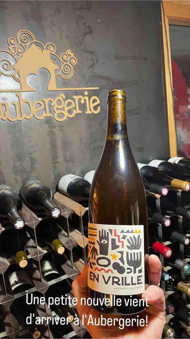 En vrille - La Vigne Sauvage - david-humbert -2023