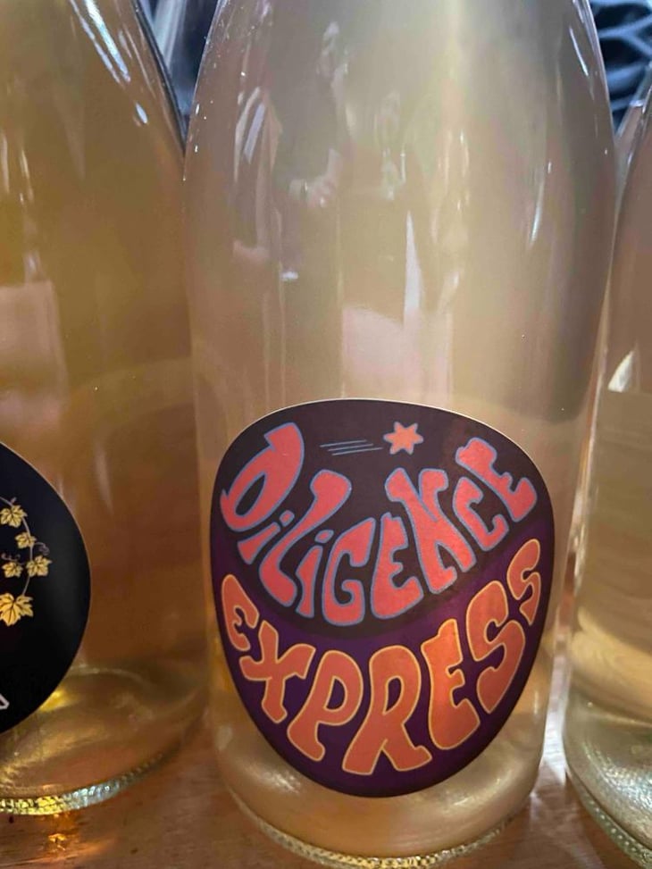 Diligence Express Blanc - Raisin Sauvage - emilien-revers -2022