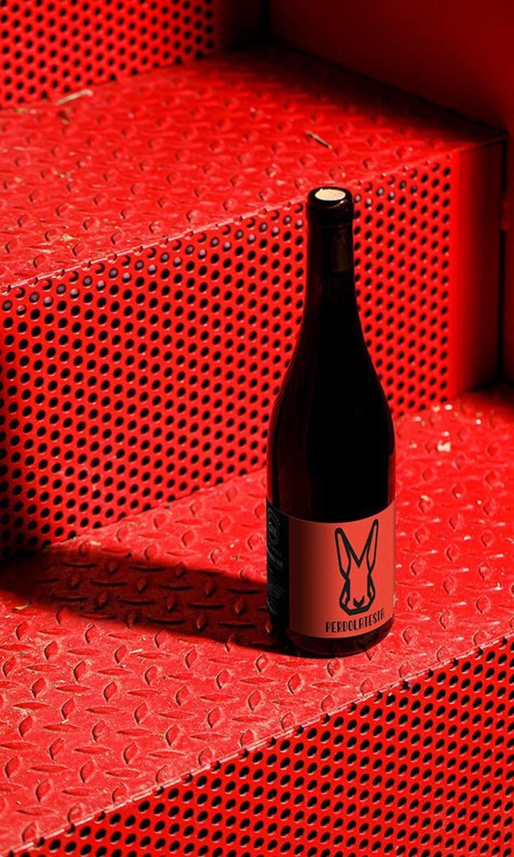 Perdo La Testa Rosso - CM Centumbrie - marco-durante 