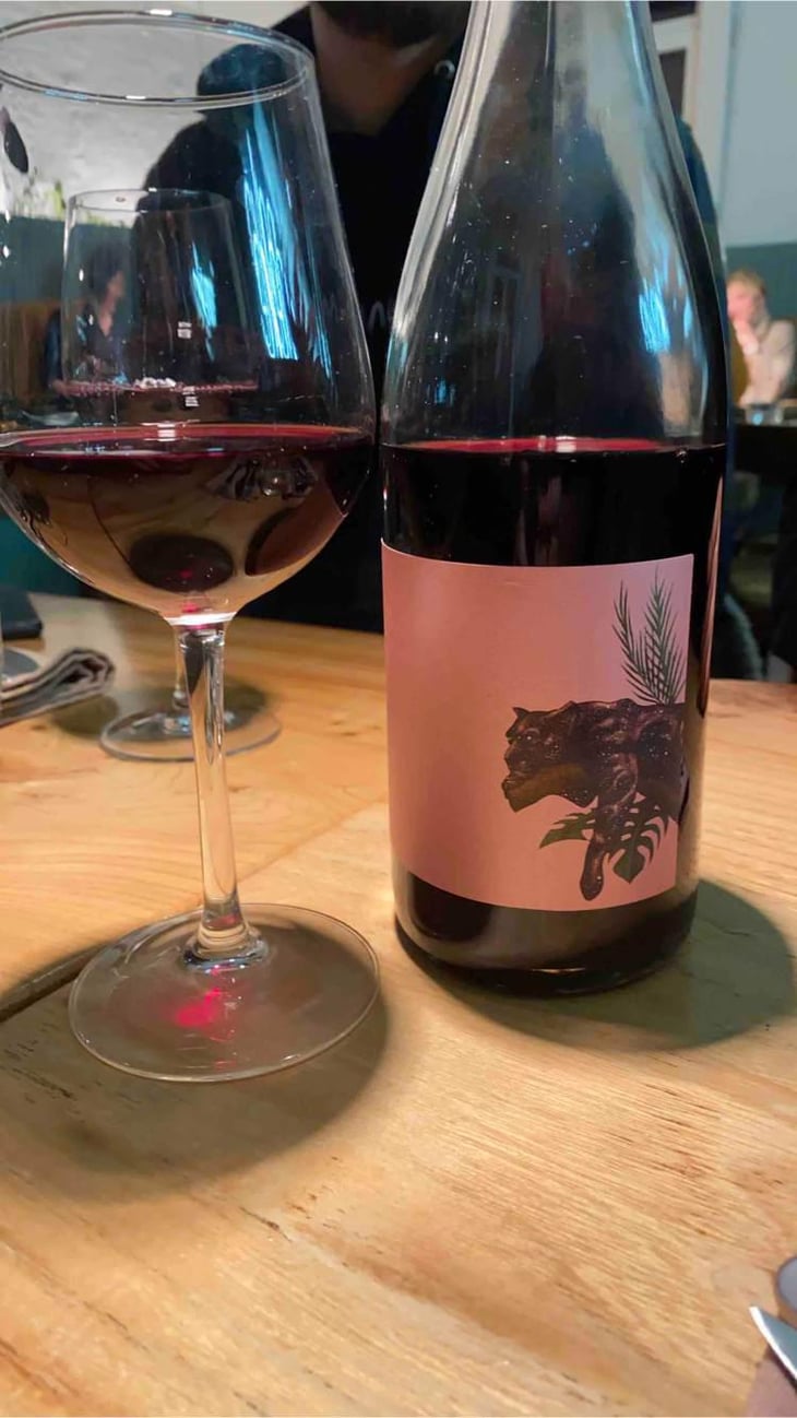 Panthère - Domaine Les Terres De Mallyce - corinne-yves-soto 