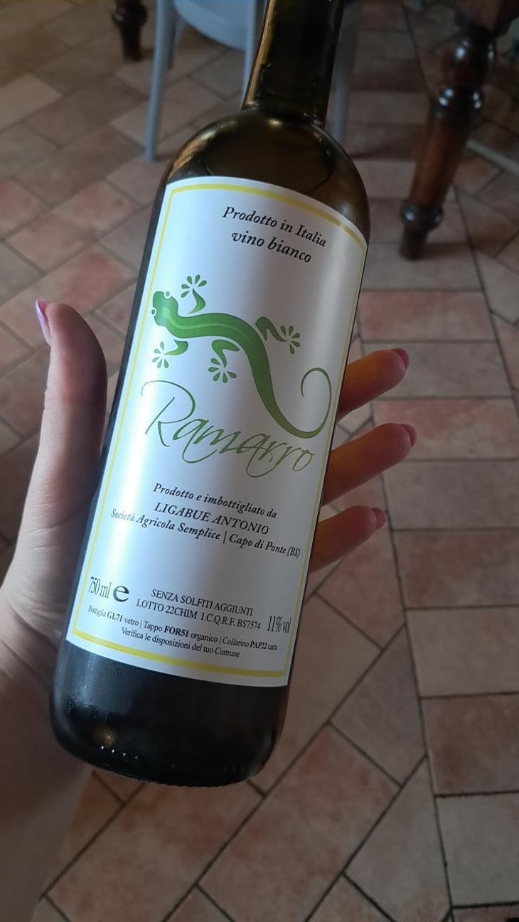 Ramarro - Azienda Agricola Antonio Ligabue - fausto-ligabue 