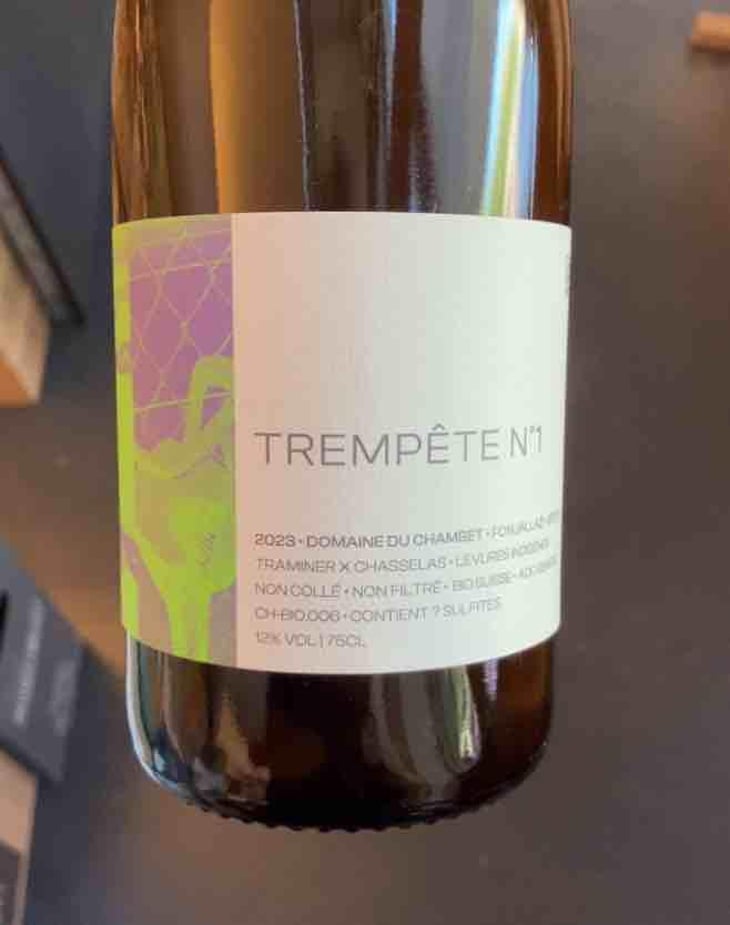 Trempête Nr.1 - Domaine du Chambet - anthony-fonjallaz -2023