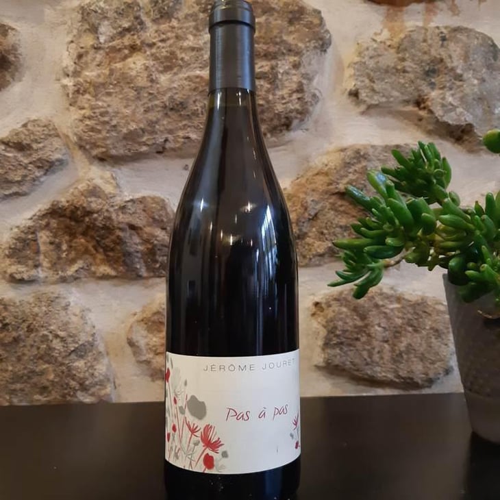 Pas à Pas - Jérome Jouret - jerome-jouret -2023