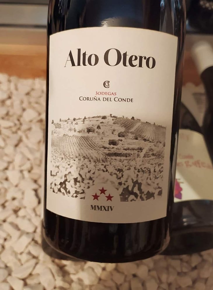 ALTO OTERO - Bodegas Coruña del Condé - angelica-amo-lopez-julien-ben-hamou-lopez -2014