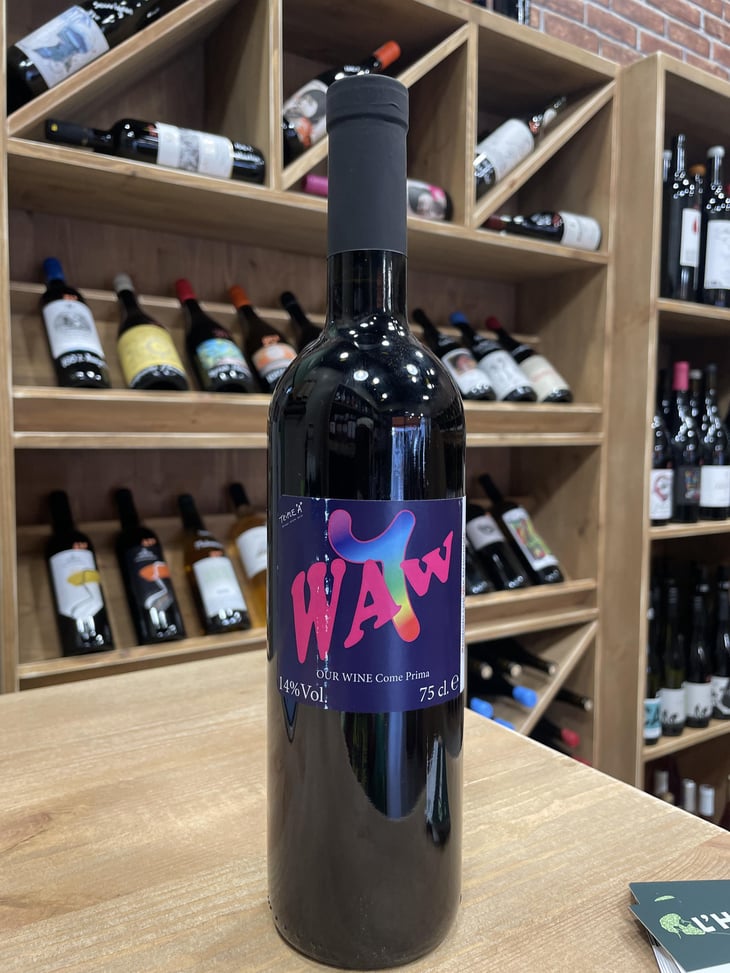 Waw - Our Wine - Chveni Gvino - soliko-tsaishvili-irakli-pruidze -2019