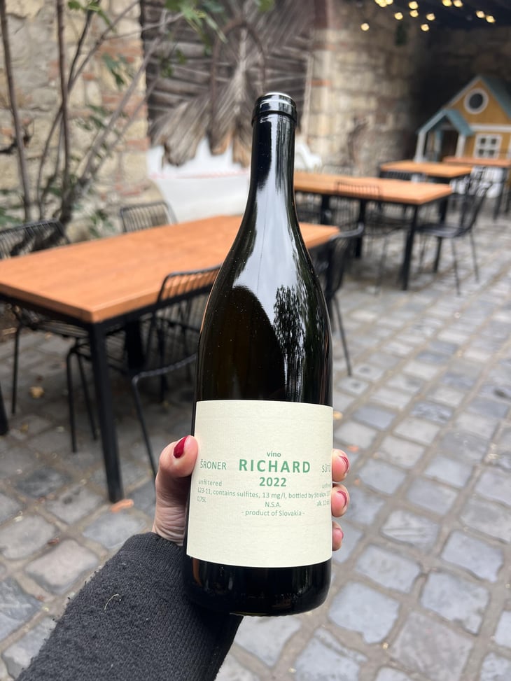 Richard - Strekov1075 - zsolt-suto 