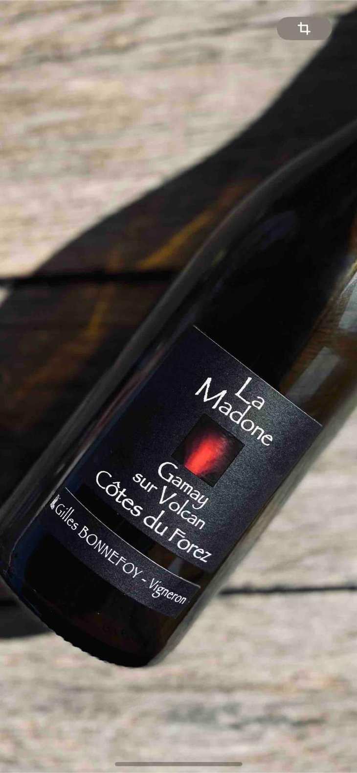 Gamay sur volcan - Vins de la Madone - gilles-bonnefoy -2022