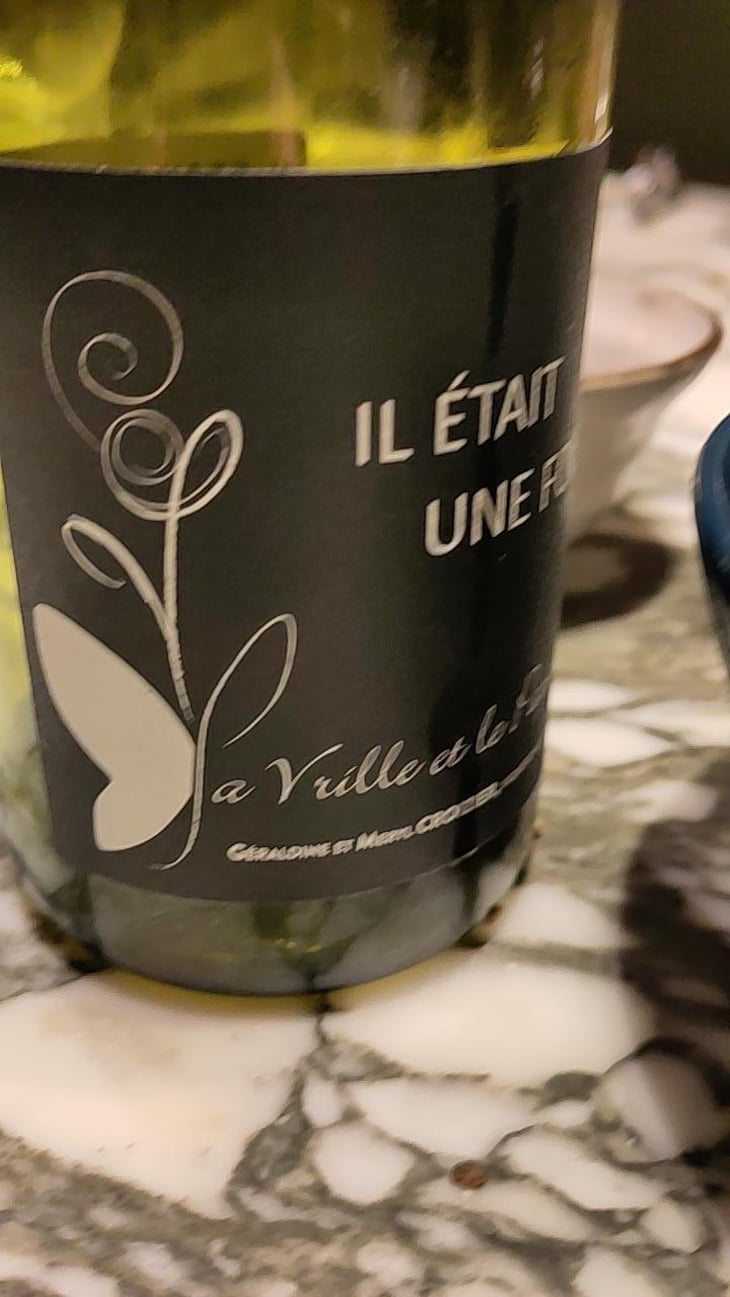 Il était une fois - La Vrille et le Papillon - geraldine-meryl-croizier 