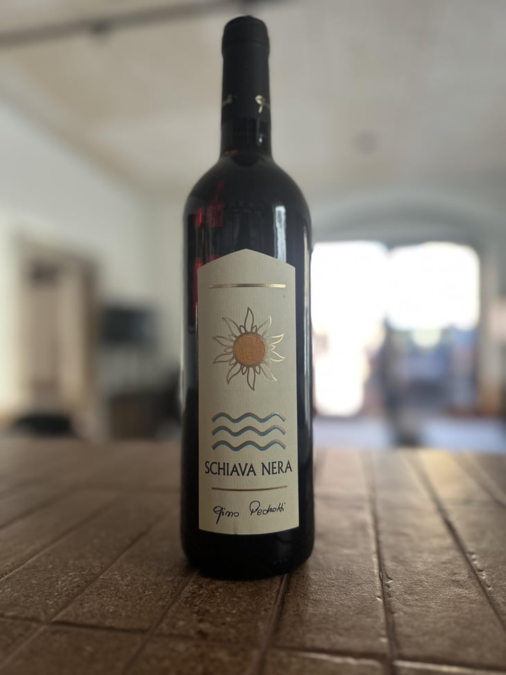 Schiava Nera - Azienda Agricola Gino Pedrotti - michele-pedrotti -2023
