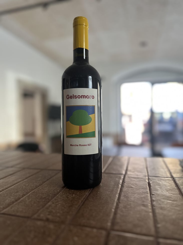 Gelsomoro Rosso - Azienda Agricola Il Gelso Moro - silvia-giorgetti 