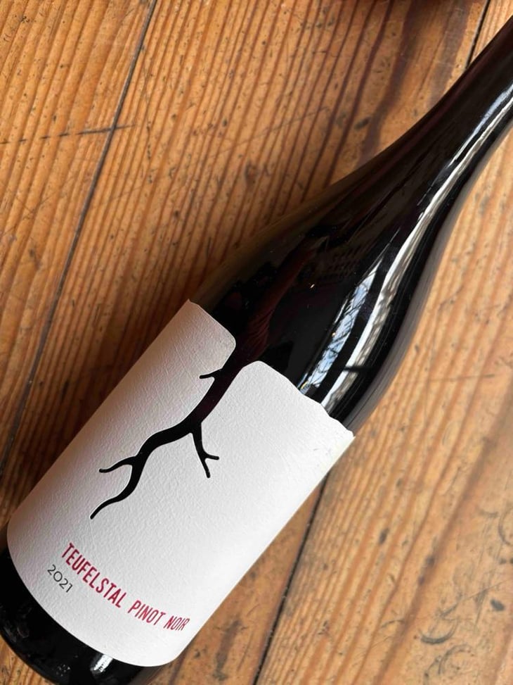 Teufelstal - Vino Magula - vladimir-magula-junior-magula-family 