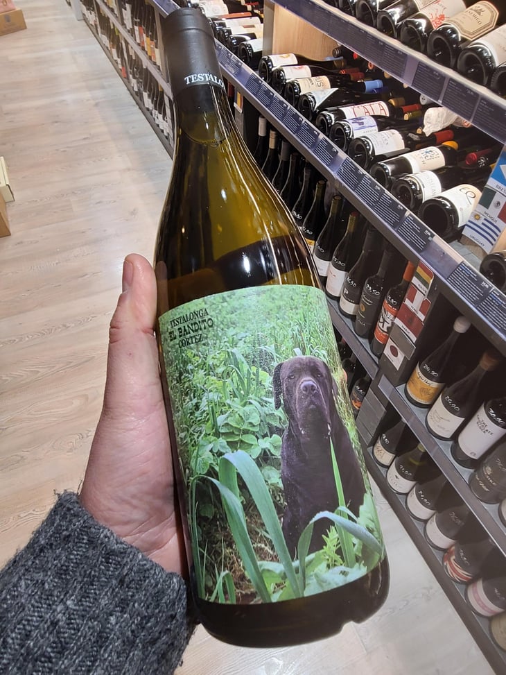 El Bandito Cortez - Testalonga - craig-carla-hawkins 